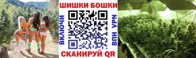 Бошки марихуана план  кракен ССЫЛКА  дарк нет официальный сайт  Чита 
